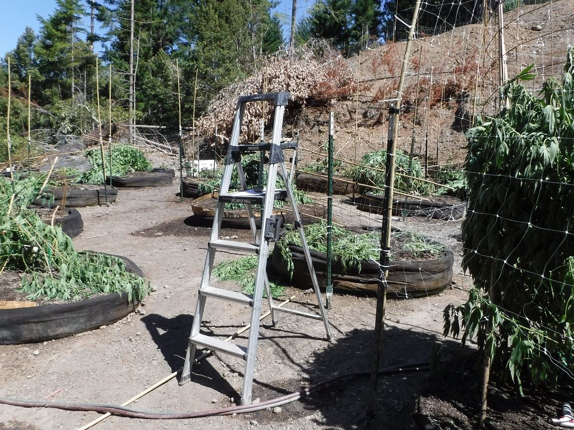 Search Warrant - Case 201603973